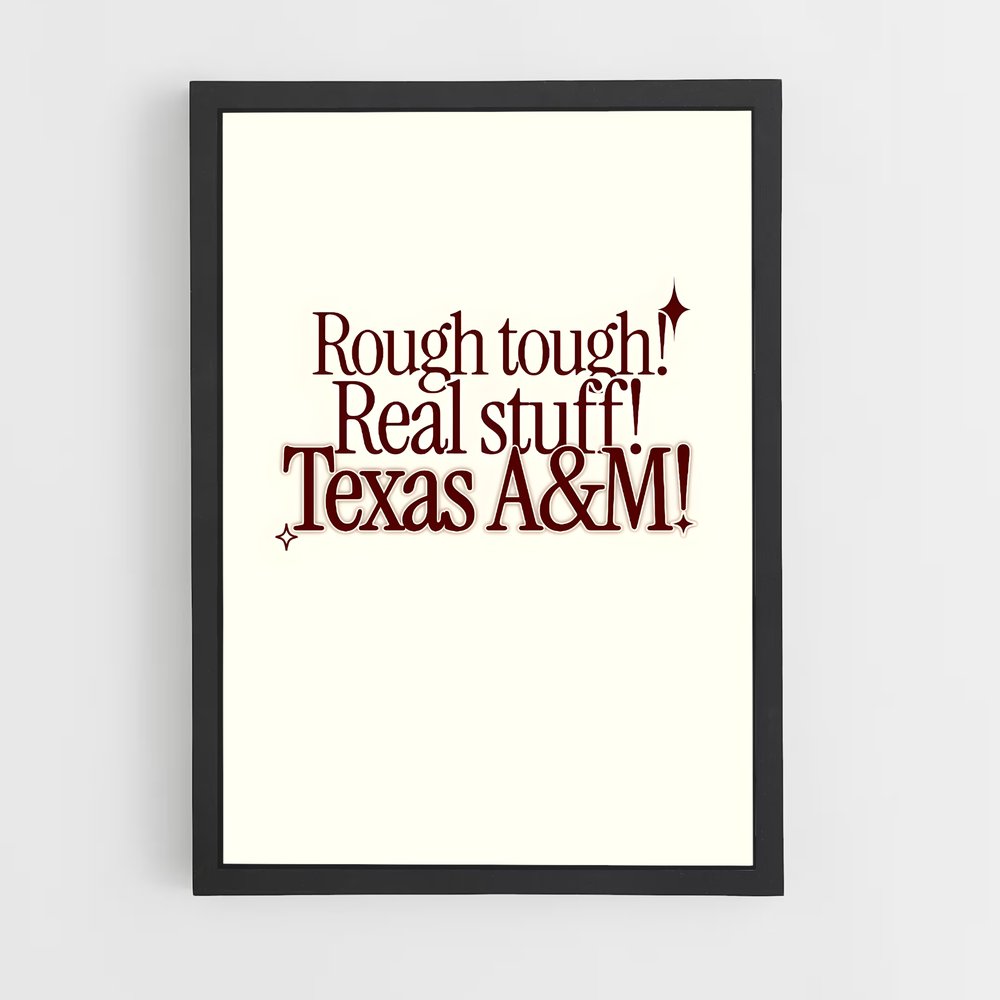 Poster Texas aandm Texanes – affiche Baseball (vue 2)